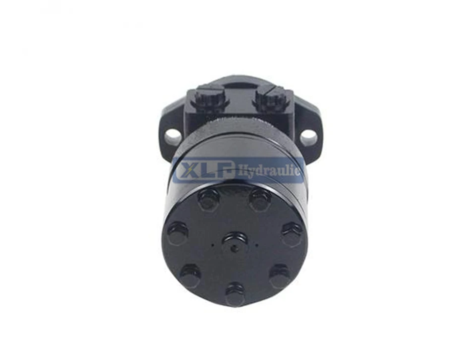 BMRS Series Orbit Hydraulic Motor | 250cc Displacement, SAE 2-Bolt, 1