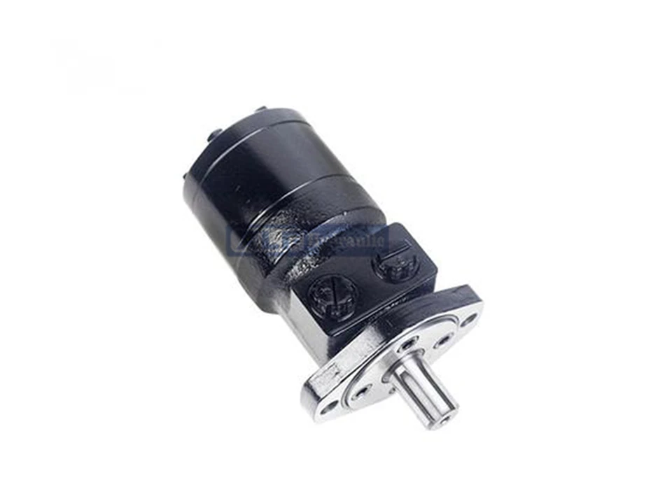 BMRS Series Orbit Hydraulic Motor | 250cc Displacement, SAE 2-Bolt, 1